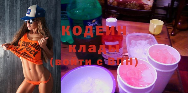 прущие грибы Бикин