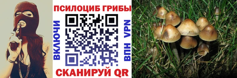 Галлюциногенные грибы Magic Shrooms  Томилино 